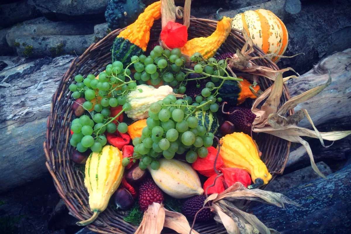 Organic Food - Farm Fresh Produce Right To Your Door - 爱游戏体育